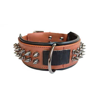 Pet Collar