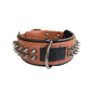 Pet Collar