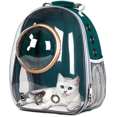 Clear Cat Carrier
