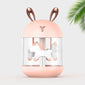 Cartoon-style humidifier