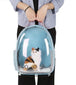 Clear Cat Carrier