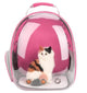 Clear Cat Carrier