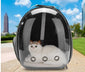Clear Cat Carrier