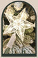 Christmas tree star