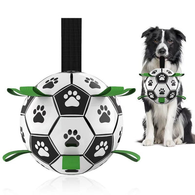 Interactive Dog Toy