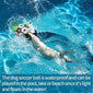 Interactive Dog Toy