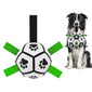 Interactive Dog Toy