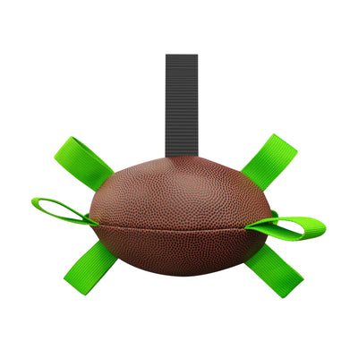 Interactive Dog Toy
