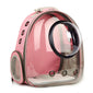 Clear Cat Carrier