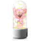 Flower bouquet speaker
