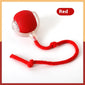 Interactive Cat Toy Ball  Drive Cat Rolling Ball