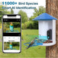 Smart Bird Feeder