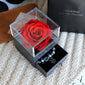 Preserved rose jewelry box