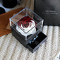 Preserved rose jewelry box