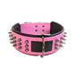 Pet Collar