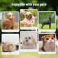 Pet Washing And Protection Supplies Anti-mite Protection Two-in-one