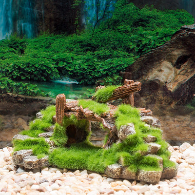 Aquarium decorations