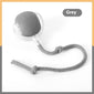 Interactive Cat Toy Ball  Drive Cat Rolling Ball