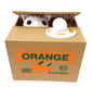 The cat stole money from the piggy bank.