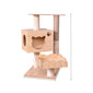 Cat Crawl Nest Scratching Board Tree Supplies
