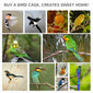 60" Outdoor Bird Cage for Finches