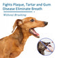 Pet Oral Cleaning Spray