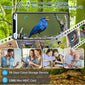 Smart Bird Feeder