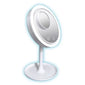 LED makeup mirror with a fan