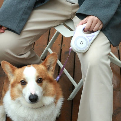 Retractable automatic pet leash