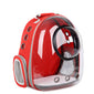 Clear Cat Carrier