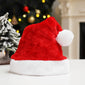 Santa Claus hat