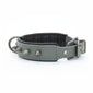 Pet Collar