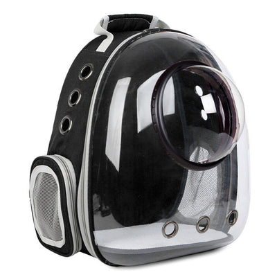 Clear Cat Carrier