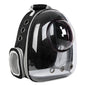 Clear Cat Carrier