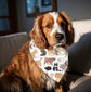 Reversible Pet Bandana