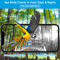 Intelligent Bird Feeding Recognition Solar HD Feeder