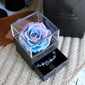 Preserved rose jewelry box