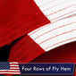 The American Flag