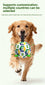 World Cup-Themed Dog Soccer