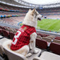 World Cup-Themed Pet Clothing