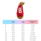World Cup-Themed Pet Clothing