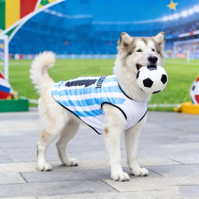 World Cup-Themed Pet Clothing