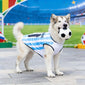 World Cup-Themed Pet Clothing