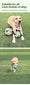 World Cup-Themed Dog Soccer