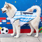 World Cup-Themed Pet Clothing