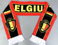 2026 USA, Canada, and Mexico World Cup National-Themed Scarves