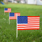 Small American Flag