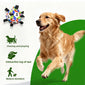 World Cup-Themed Dog Soccer