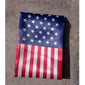 US Flag Satin Fan Scarf