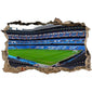 World Cup-Themed Wall Decals